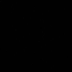 Meet your Posher, Solomon